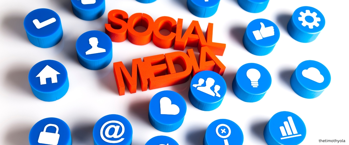 social media management